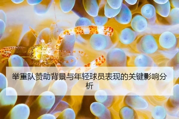 举重队赞助背景与年轻球员表现的关键影响分析